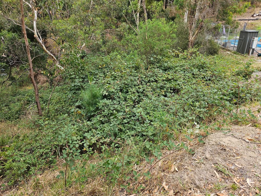 Procut Earthworks